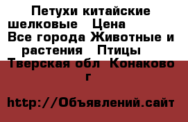 Петухи китайские шелковые › Цена ­ 1 000 - Все города Животные и растения » Птицы   . Тверская обл.,Конаково г.